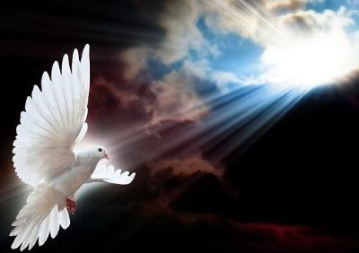 Receber o Espírito Santo para a Liberdade e a Vida!