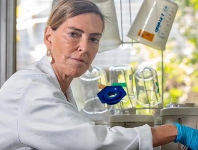 Descoberta pode render à cientista e ao Brasil o Prêmio Nobel de Medicina