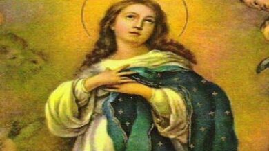 Nossa Senhora da Imaculada Conceição, um dogma de fé
